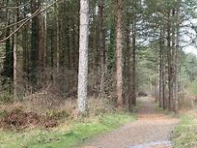 Teithiau a Llwybrau Cerdded Natur